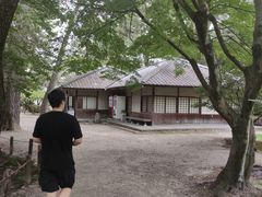 -名古屋城