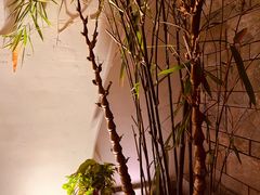 -同庆楼(花园店)