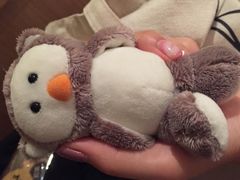 -PAWTOY爪e玩偶店(天兴罗斯福店)