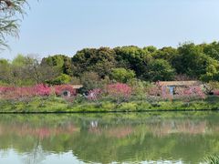 -圩墩遗址公园