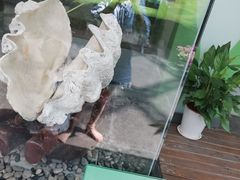 -中国湿地博物馆