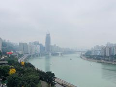 -李子坝梁山鸡(李子坝大鸡哥店)