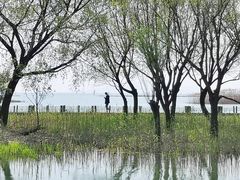 -太湖湖滨国家湿地公园-停车场
