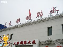 大眼锅贴水饺-大眼锅贴水饺(河东店)