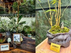 -漫山居私汤民宿全竹宴