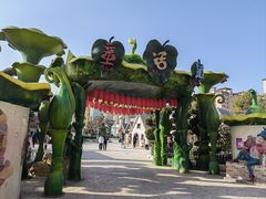 -蓬莱欧乐堡梦幻世界