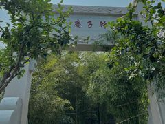 -竹子庵公园