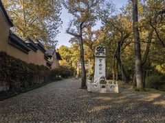 -灵谷景区