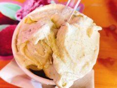 -野人牧坊Gelato(天津南开大悦城店)