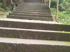 -凤栖山