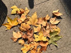 -如意馄饨(龙西路店)