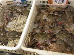 -大京园海鲜烧烤(东城路店)