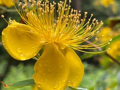 -狼山风景名胜区