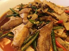 -重庆长寿碧桂园凤悦凤凰酒店