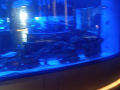 -上和臻品中国菜(花园街店)