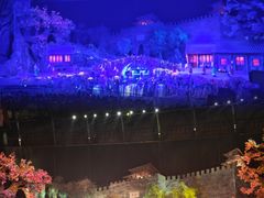 -《驼铃传奇》秀