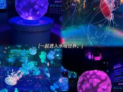 -正佳极地海洋世界
