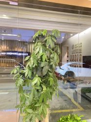 -漂亮妈妈通乳·塑形·产后恢复(奥体店)