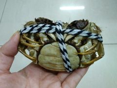 -喜洋洋蟹庄(阳澄湖店)