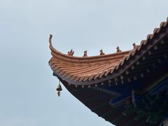 -武汉五月花大酒店(武昌火车站中南路地铁站店)