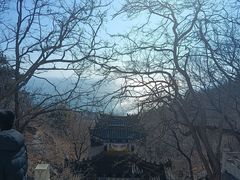 -石老人观光园