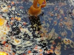 -星鸿社重庆老火锅