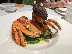 -西湖春天•老字号杭州菜(百汇店)