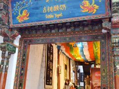 -古树酸奶(八廓南街店)
