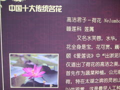 -紫竹院公园冰场