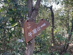 -午潮山国家森林公园