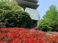 -临平公园(临平街道)
