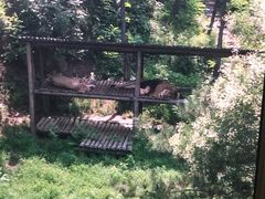 -石家庄市动物园