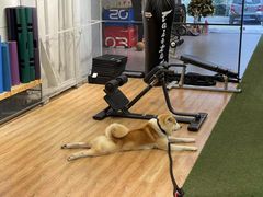 -YCHL Studios健身工作室(市二宫店)
