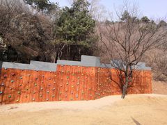 -蟠龙山长城景区