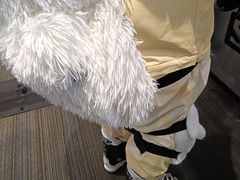 -长白山万达国际滑雪场