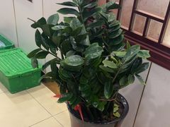 -品味村.烤鸭(新中街店)
