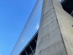 -上海浦江郊野公园-4号停车场