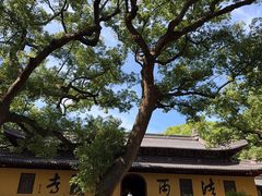 -普陀山风景名胜区-法雨禅寺