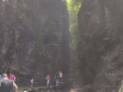 -牛背梁国家森林公园