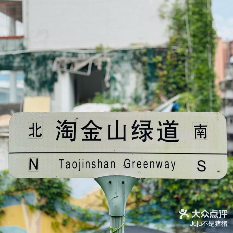 打卡每一个城市绿道之淘金山绿道
