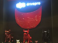 -drivepro(三里屯店)
