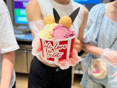 -莉莉熊Lililove Gelato (意大利手工冰淇淋)