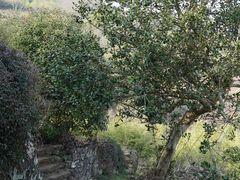 -许家山