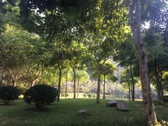-火炉山森林公园