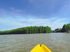 -上海海湾国家森林公园