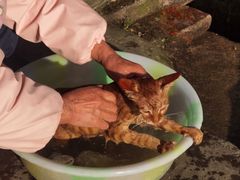 -海窝子古镇