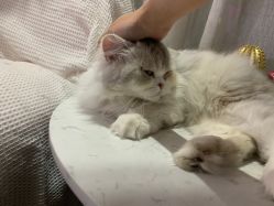 -Beauty Nails 美甲美睫皮肤管理