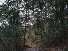 -武夷山风景名胜区-虎啸岩