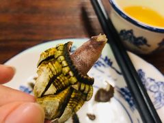 -四季美蚝皇