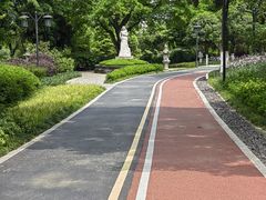 -大渡口区义渡公园